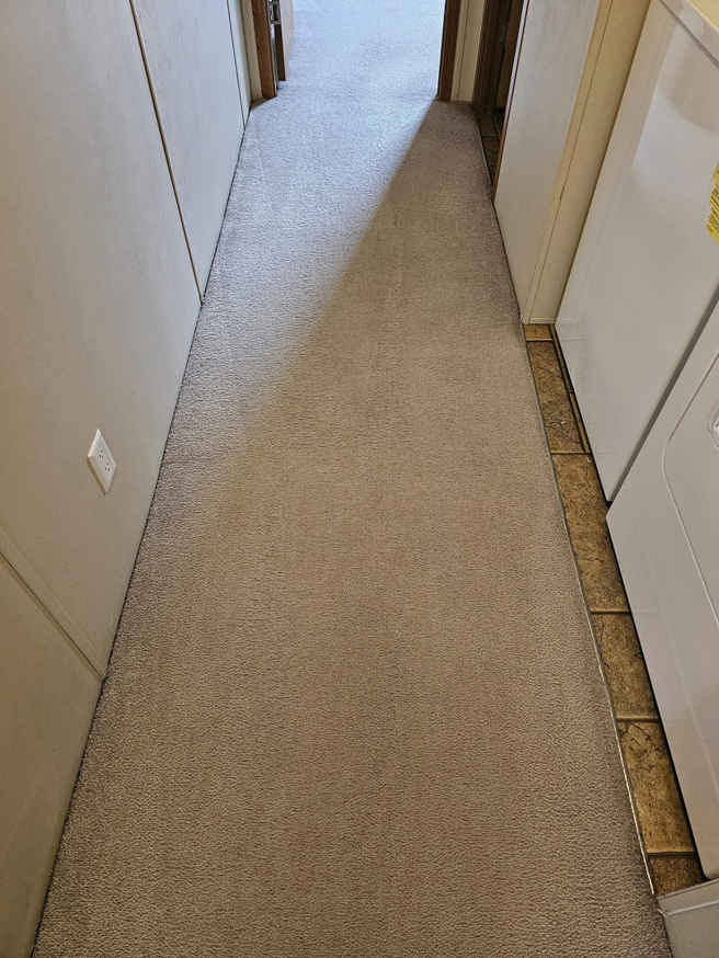 A freshly cleaned carpeted hallway, showcasing results from Peterson's Carpet & Air Duct Cleaning in Dickinson, ND.