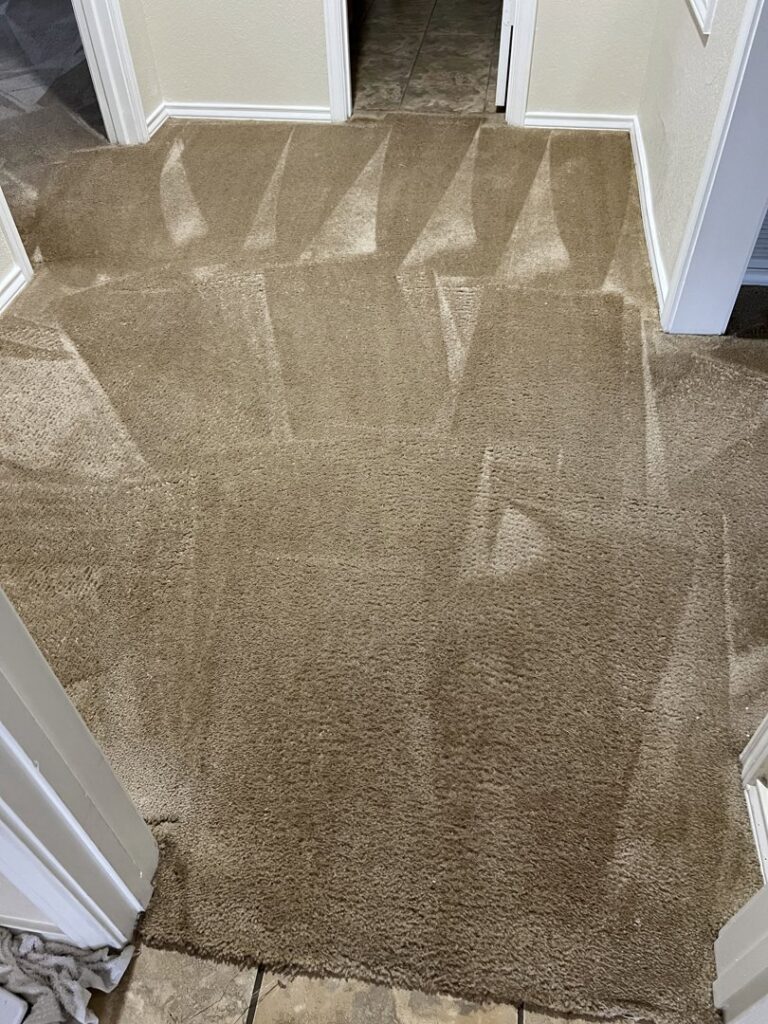 A carpeted hallway showing distinct cleaning lines after a professional service by Steam Solutions Carpet Cleaning in San Antonio, TX.