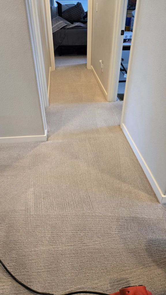 A freshly cleaned carpet in a residential hallway, showing distinct cleaning lines by Xtreme Carpet Cleaning Inc. in Sandpoint, ID.