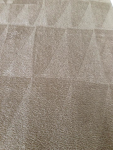 Freshly cleaned carpet showing distinct grooming lines by Heavenly Scent Cleaning Austin Texas & North Carolina in Austin, TX.