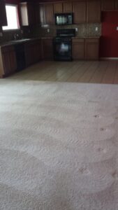 A freshly cleaned carpet showing cleaning patterns in a living room by A Plus Carpet Care in Redondo Beach, CA.