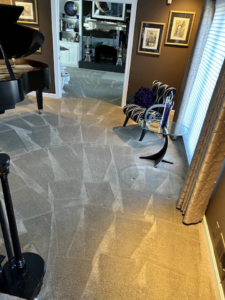 Freshly cleaned carpet with distinct grooming lines in a living room by Louisville's Finest Carpet & Upholstery Care LLC in Louisville, KY