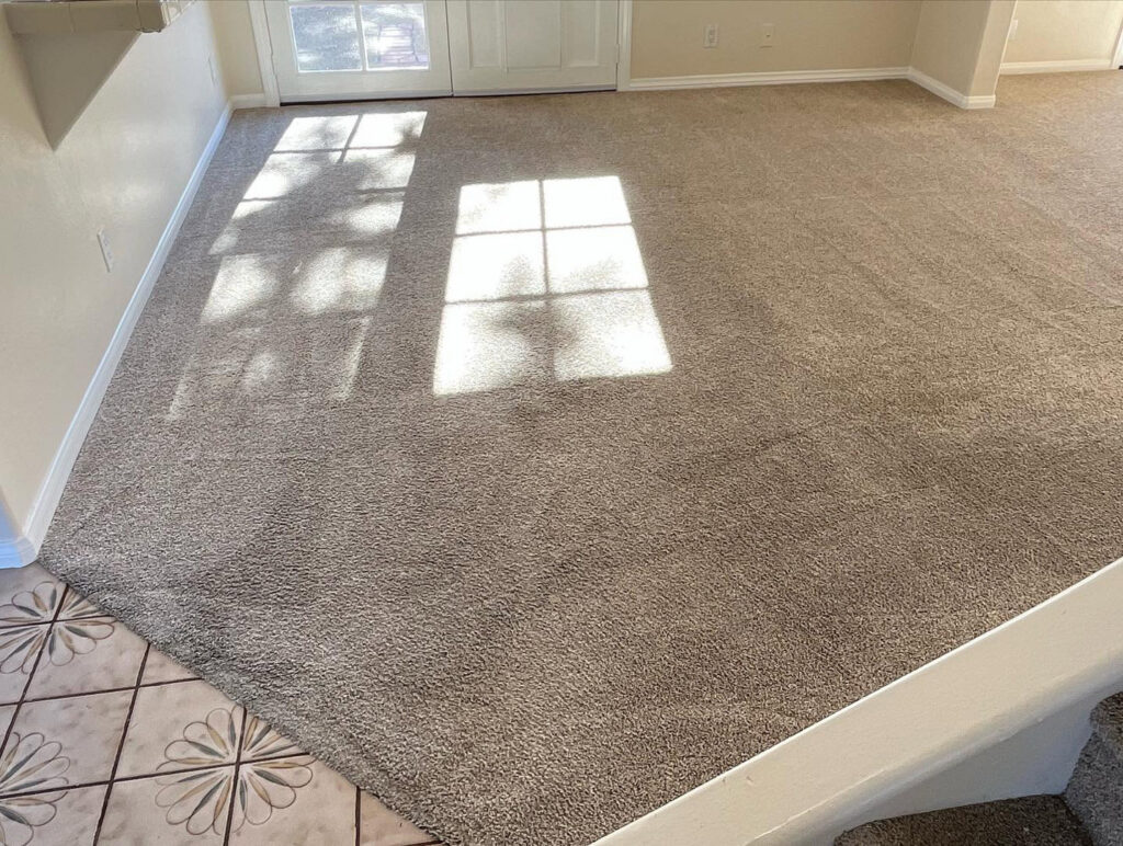 A freshly cleaned carpet with distinct lines in a living room, showcasing the quality work of Orozco's Janitorial Services LLC in Escondido, CA.