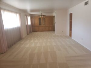 A freshly cleaned carpet with visible cleaning lines by Jake's Steamer the Carpet Cleaner in Seminole, TX