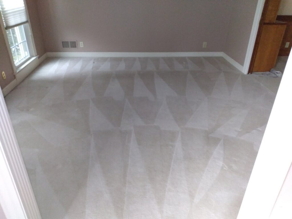 A freshly cleaned carpet showing distinct cleaning lines, a result of Advanced Carpet Cleaning in College Station, TX