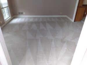 A freshly cleaned carpet showing distinct cleaning lines, a result of Advanced Carpet Cleaning in College Station, TX