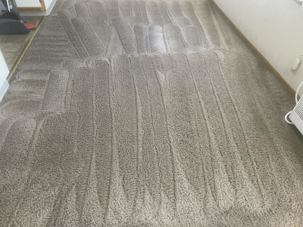 A freshly cleaned carpet showing distinct cleaning lines by A&g's carpet cleaning service in Vancouver, WA.
