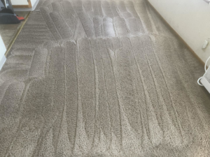 A freshly cleaned carpet showing distinct cleaning lines by A&g's carpet cleaning service in Vancouver, WA.