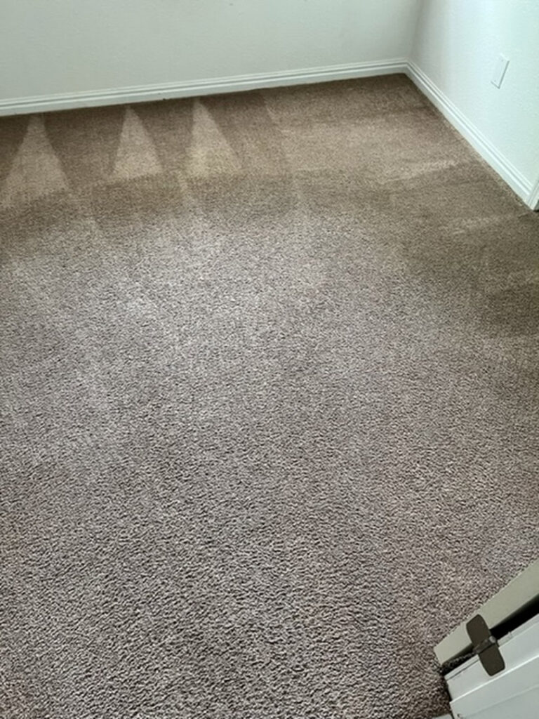 A freshly cleaned carpet showing distinct cleaning lines after service by AJS Carpet Cleaning, Inc. in Orem, UT.