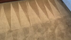 Close-up of a freshly cleaned carpet showing distinct cleaning lines by Arkansas Floor and Upholstery Care LLC in Fort Smith, AR.