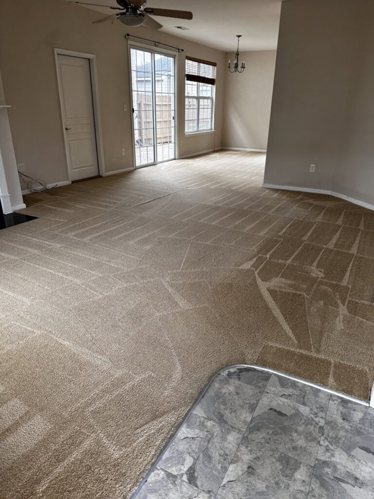 Freshly cleaned carpet with visible cleaning lines in a large room by Atlantic Carpet Care, Inc. in Chesapeake, VA