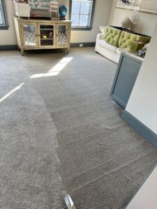 Freshly cleaned carpet with visible cleaning lines after a service by Coconut Cleaning of Dallas-Fort Worth in Dallas, TX.