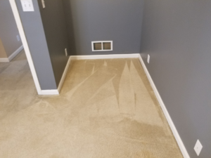 A freshly cleaned carpet showing distinct cleaning lines by Dirt-Be-Gone Floor Cleaning in Louisville, KY