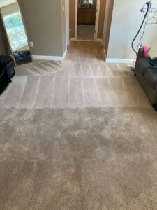 Freshly cleaned carpet showing distinct cleaning lines after service by Father and Son Companies in Gaithersburg, MD.