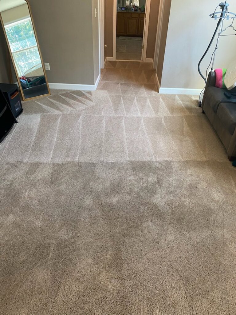 Freshly cleaned carpet showing distinct cleaning lines after service by Father and Son Companies in Gaithersburg, MD.