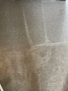Freshly cleaned carpet showing distinct cleaning lines by Level 8 Steam Cleaning & Restoration in West Fargo, ND.