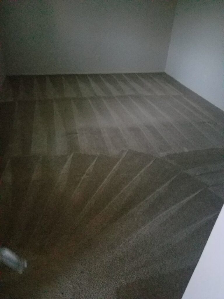 A freshly cleaned carpet showing distinct cleaning lines, demonstrating professional results from Inspection Ready LLC in Bellevue, NE.