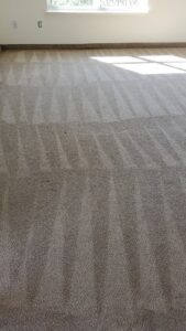 A freshly cleaned carpet showing distinct cleaning lines by Rise N Shine Cleaning in San Antonio, TX