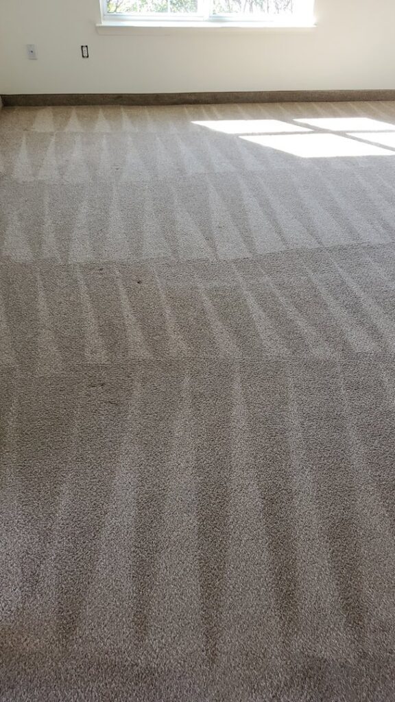 A freshly cleaned carpet showing distinct cleaning lines by Rise N Shine Cleaning in San Antonio, TX