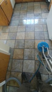 Freshly cleaned carpet showing distinct wet lines after service by Rocky Mountain Rug Rescue in Laramie, WY