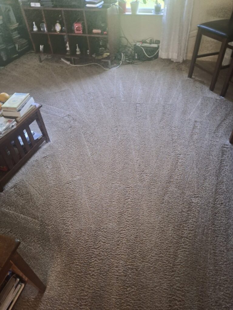 A freshly cleaned carpet showing distinct cleaning lines after service by Sears Carpet Cleaning in Cleveland, OH.