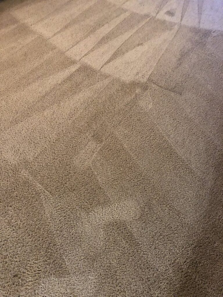 Close-up of a freshly cleaned carpet showing distinct cleaning lines by Sunshine Carpet Cleaning Services in Houston, TX
