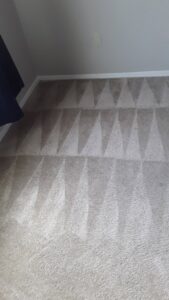 A freshly cleaned carpet showing distinct cleaning lines by Superior Carpet Cleaning And Flooring in Dallas, TX