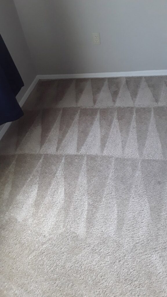 A freshly cleaned carpet showing distinct cleaning lines by Superior Carpet Cleaning And Flooring in Dallas, TX