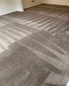 Freshly cleaned carpet with distinct cleaning lines, showcasing a completed job by Utah Carpet Systems in Orem, UT.