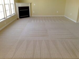 A freshly cleaned carpet with visible cleaning lines in a living room by Alexandria Green Carpet & Rug Cleaning in Alexandria, VA.