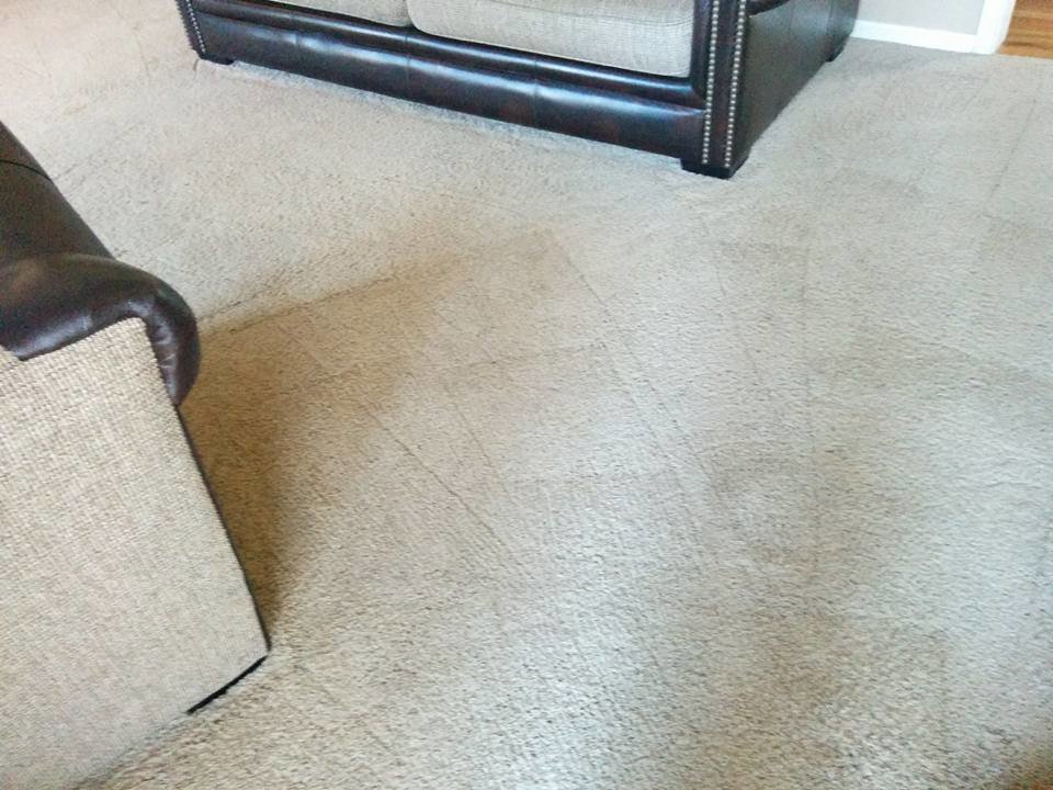 A freshly cleaned, light-colored carpet with visible vacuum lines in a living room by All Dimension Floor Care in Lenexa, KS.