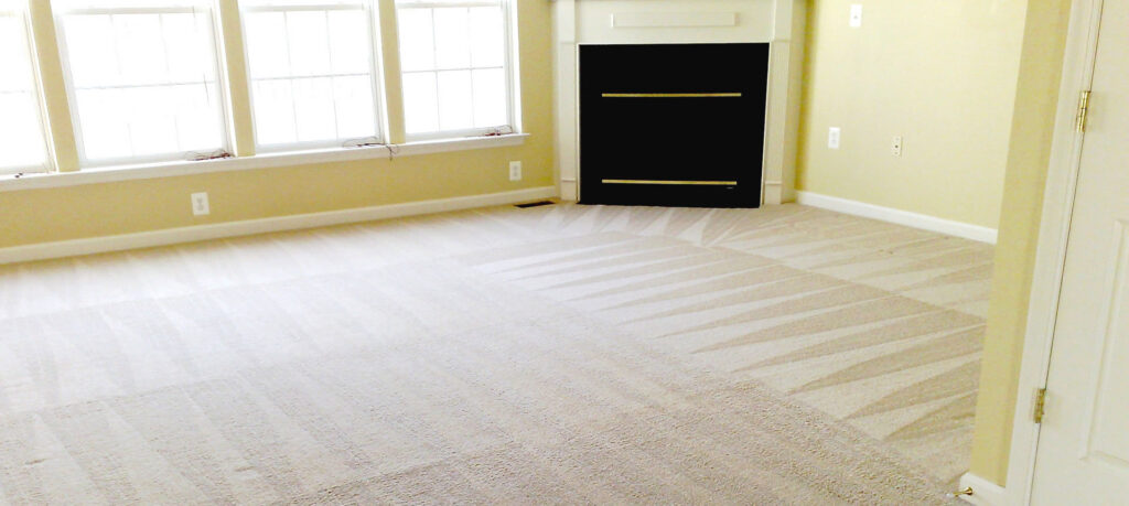 Freshly cleaned carpet with visible vacuum lines in a living room by All Shine Cleaning Service in Idaho Falls, ID.