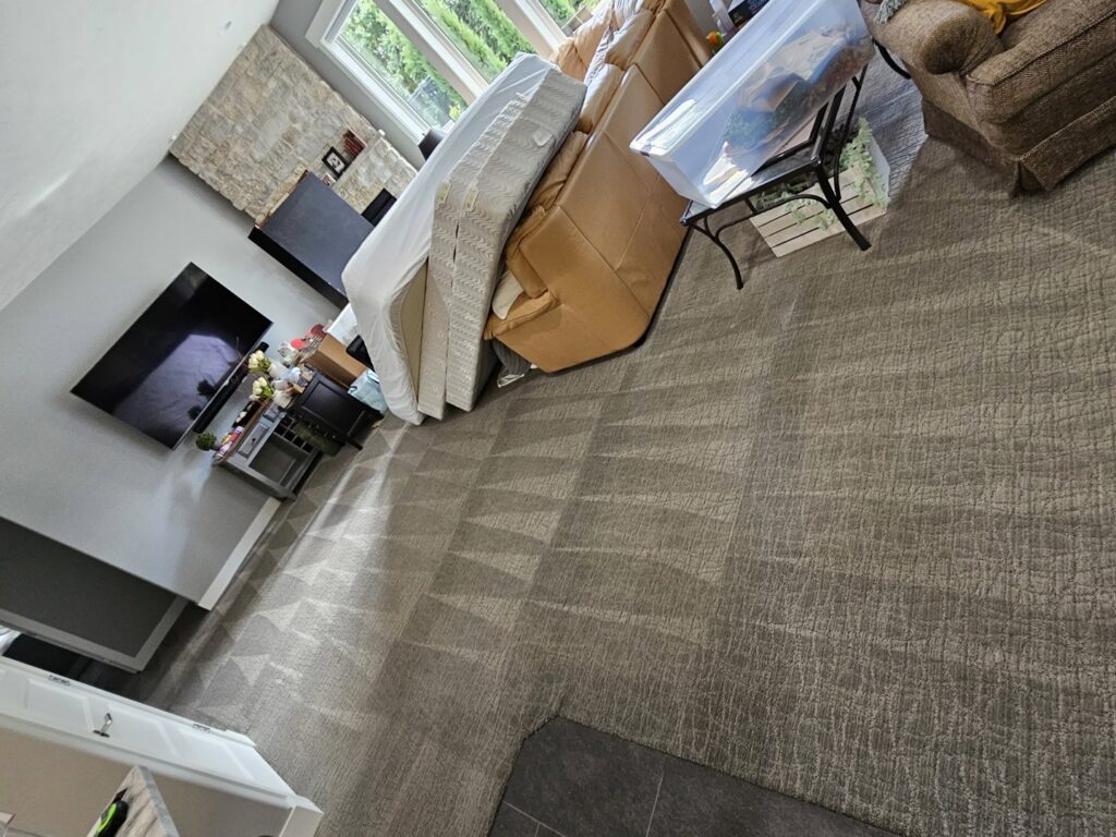 A living room with freshly cleaned carpet showing distinct cleaning lines by Big Red Flooring in Omaha, NE