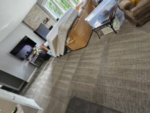 A living room with freshly cleaned carpet showing distinct cleaning lines by Big Red Flooring in Omaha, NE