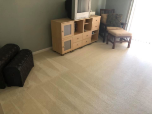 A freshly cleaned carpet with visible cleaning lines in a living room by Cleaning Service Pro, LLC in Peoria, AZ