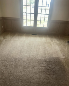 Freshly cleaned carpet with visible cleaning lines in a living room by D&A Carpet Cleaning in Durham, NC.