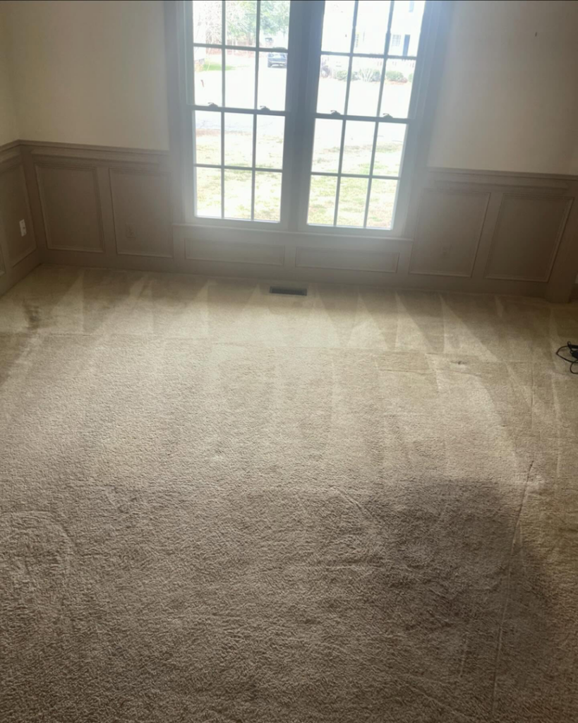 Freshly cleaned carpet with visible cleaning lines in a living room by D&A Carpet Cleaning in Durham, NC.