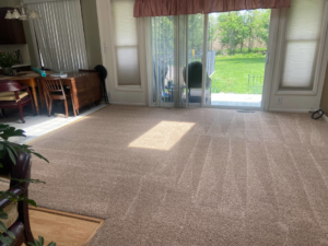 A freshly cleaned carpet in a residential living room by Encapstore.com in Las Vegas, NV