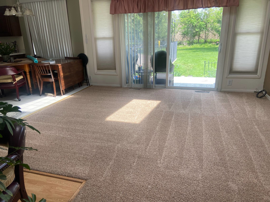 A freshly cleaned carpet in a residential living room by Encapstore.com in Las Vegas, NV