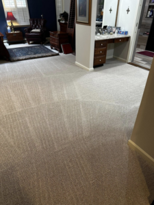 A freshly cleaned carpet with visible vacuum lines in a residential living room by Fox Cleaning Services in Lafayette, IN.