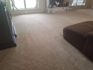 A freshly cleaned carpet with visible vacuum lines in a living room by SAENZ Carpet Cleaning in Dallas, TX.