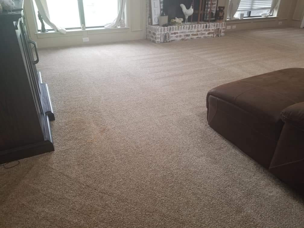 A freshly cleaned carpet with visible vacuum lines in a living room by SAENZ Carpet Cleaning in Dallas, TX.