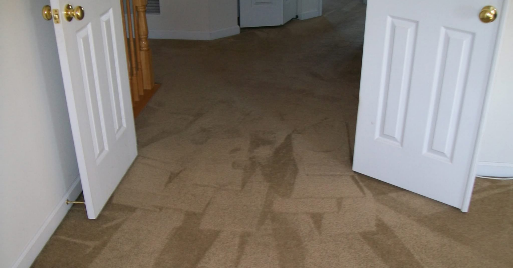 A freshly cleaned brown carpet with visible cleaning streaks by Magic Carpet Cleaning in Pittsburgh, PA.