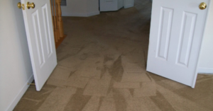 A freshly cleaned brown carpet with visible cleaning streaks by Magic Carpet Cleaning in Pittsburgh, PA.