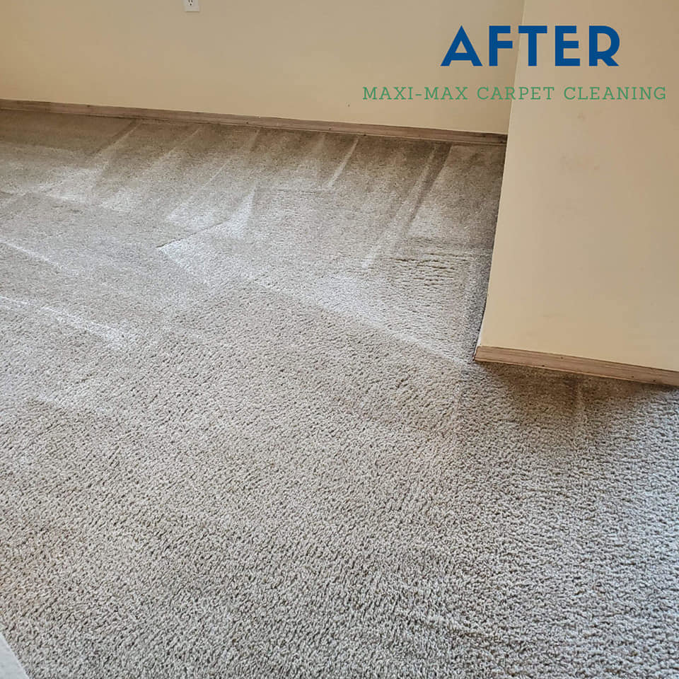 A freshly cleaned carpet with visible cleaning lines by Maxi-Max Carpet Cleaning in Salem, OR