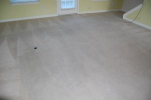 A freshly cleaned carpet with distinct vacuum lines, showcasing a completed job by Mid State Contract Cleaners in Nashville, TN.