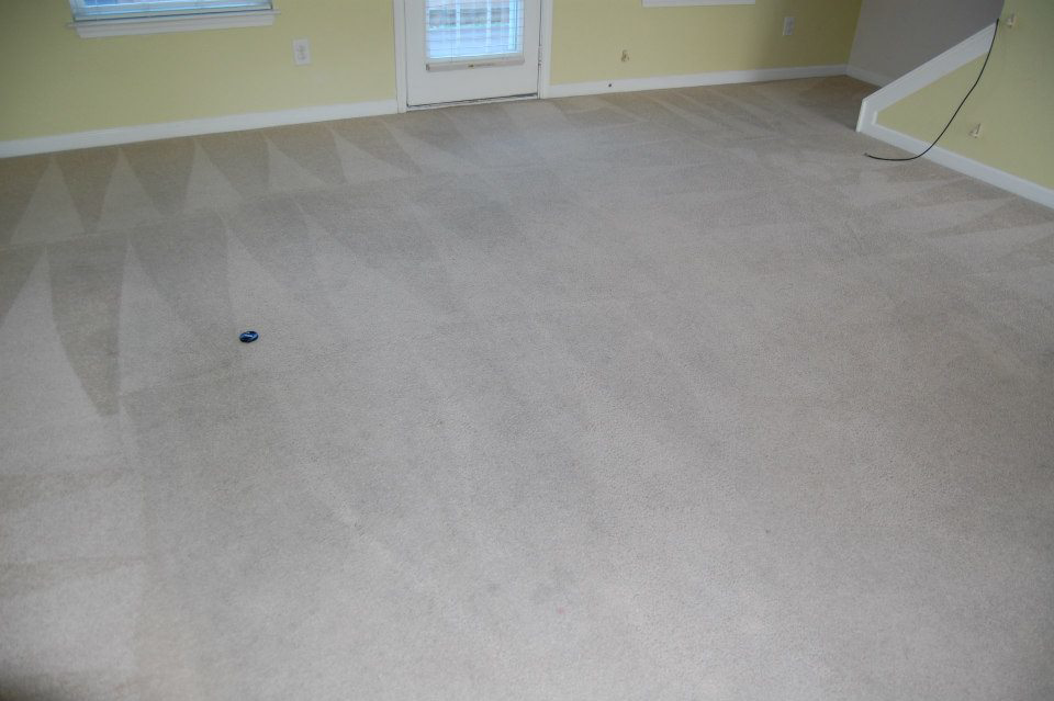 A freshly cleaned carpet with distinct vacuum lines, showcasing a completed job by Mid State Contract Cleaners in Nashville, TN.