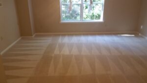 Freshly cleaned carpet with a distinct pattern from professional service by BareFoot Clean, Inc. in Virginia Beach, VA.