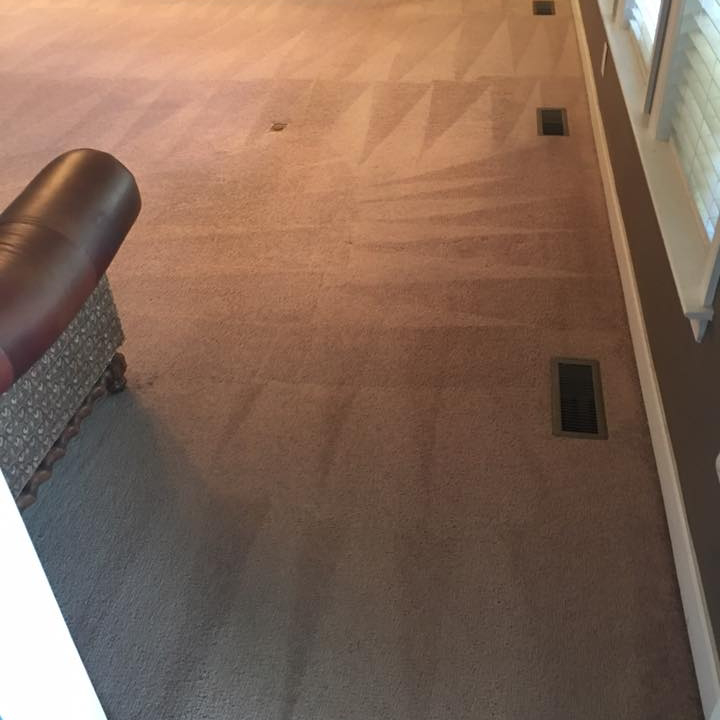 Close-up view of a freshly cleaned carpet showing distinct patterns from All Virginia Cleaning Solutions, LLC. in Henrico, VA.