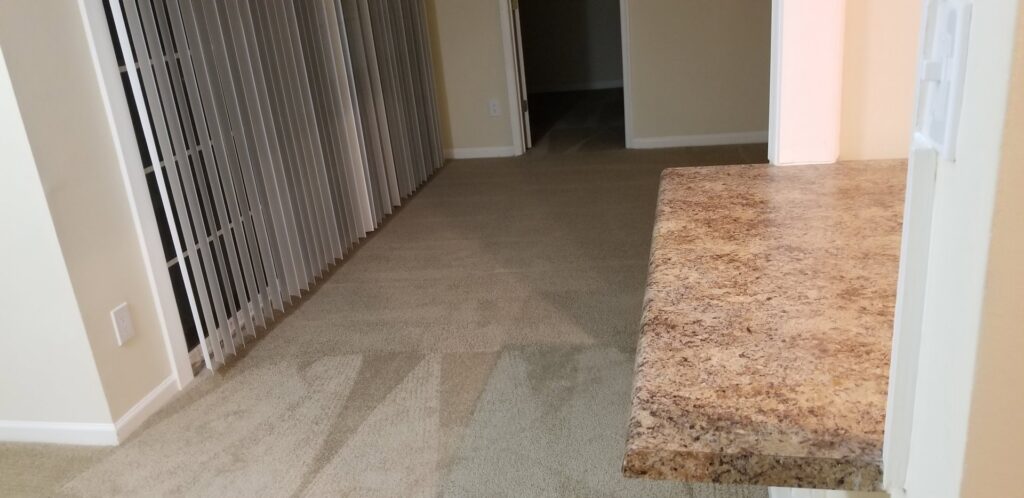 Freshly cleaned carpet showing distinct cleaning patterns by American Steam in Suffolk, VA.